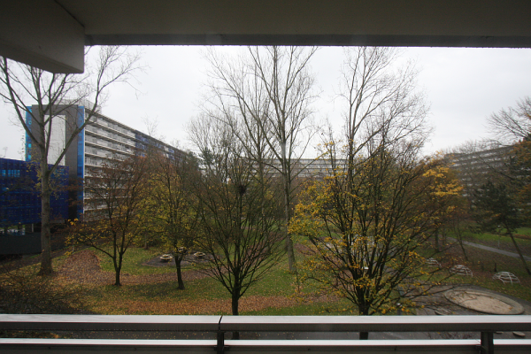 The view from our front windows in our apartment in Molenwijk