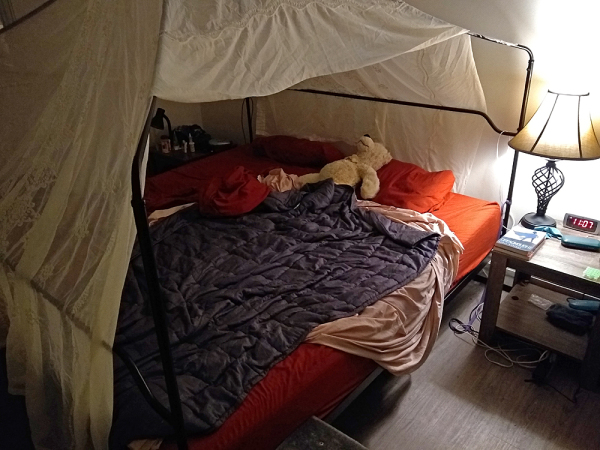 My bed frame with a fabric canopy over it